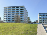 Ferienwohnung in Kellenhusen - Delphinkoje FeWo Kniedler 3-0-6 - IFA - Bild 1