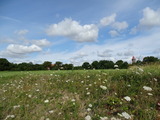 Ferienwohnung in Dahme - "Friesenhof Dahme" Wohnung 1 - Bild 24