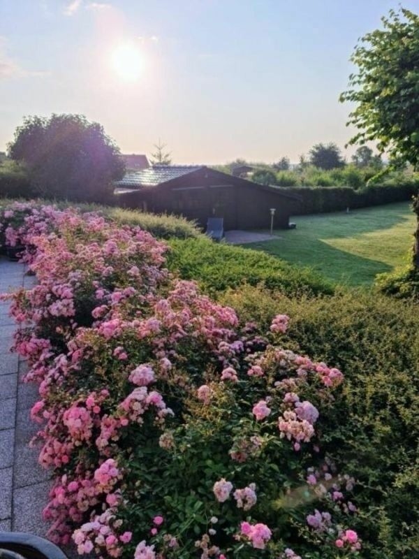 Ferienwohnung in Breege - Sonnenhus 1 - Breege/Rügen - Bild 21