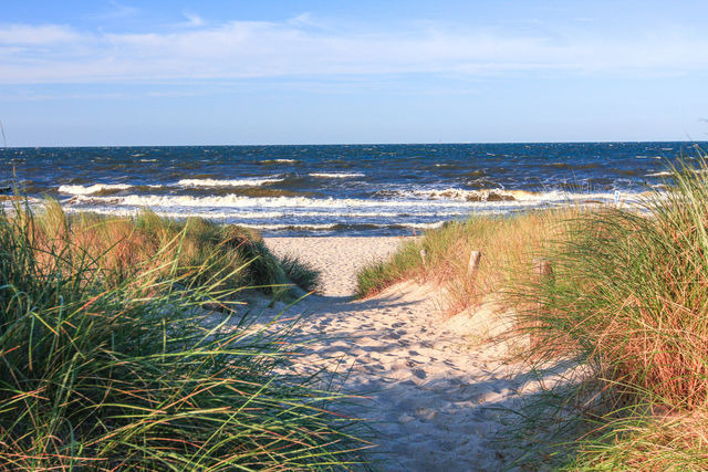 Ferienwohnung in Fehmarn OT Klausdorf - Blütenpracht - Bild 15