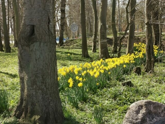 Ferienwohnung in Kellenhusen - Silva Mare,UG 1 - Bild 8