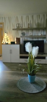 Bungalow in Zinnowitz - Ferienhaus Wiese und Meer - Bild 17 Bungalow in Zinnowitz - Ferienhaus Wiese und Meer - Bild 17