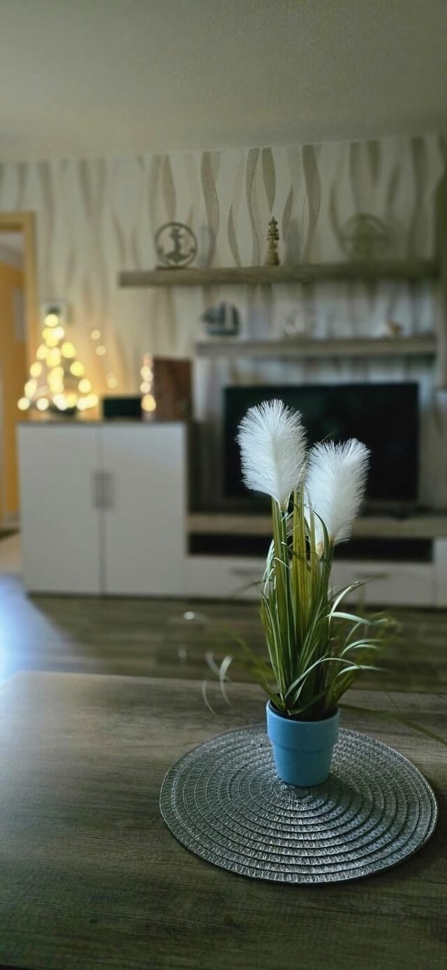 Bungalow in Zinnowitz - Ferienhaus Wiese und Meer - Bild 17 Bungalow in Zinnowitz - Ferienhaus Wiese und Meer - Bild 17