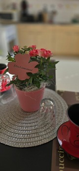 Bungalow in Zinnowitz - Ferienhaus Wiese und Meer - Bild 23 Bungalow in Zinnowitz - Ferienhaus Wiese und Meer - Bild 23