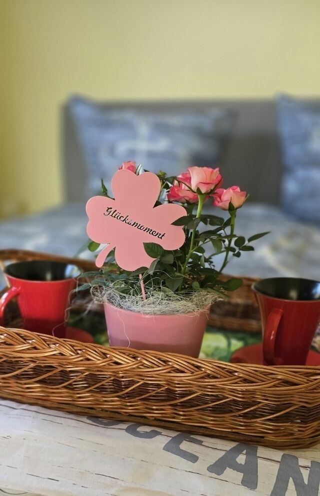 Bungalow in Zinnowitz - Ferienhaus Wiese und Meer - Bild 24 Bungalow in Zinnowitz - Ferienhaus Wiese und Meer - Bild 24