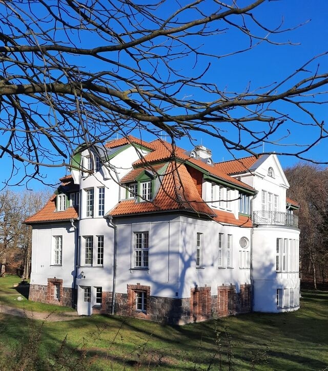 Ferienwohnung in Stubbendorf - Kamin-Stuuv - Bild 3