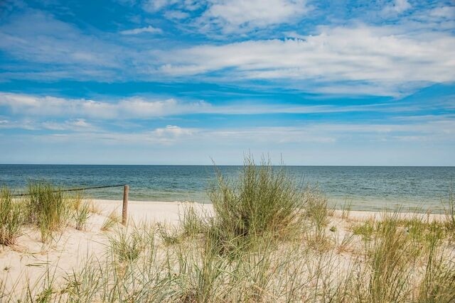 Ferienhaus in Ückeritz - Kormoran - Bild 23 Ferienhaus in Ückeritz - Kormoran - Bild 23