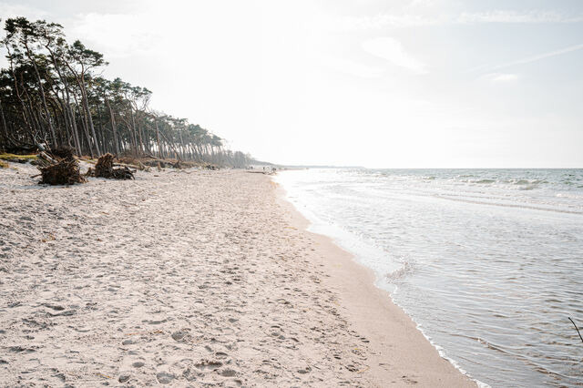 Ferienwohnung in Ahrenshoop - Strandperle mit Balkon - Bild 10