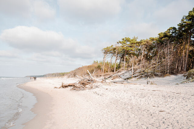 Ferienwohnung in Ahrenshoop - Strandmuschel 5 - Bild 8