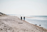 Ferienwohnung in Ahrenshoop - Strandliebe 1 - Bild 9