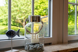 Ferienhaus in Dahme - Vogel Dahmeshöved 21 a - Bild 15