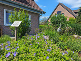 Ferienwohnung in Kellenhusen - FeWo meine kleine Auszeit - Bild 16
