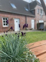 Ferienwohnung in Fehmarn OT Wulfen - Kleene Helene - Bild 16