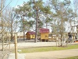 Ferienhaus in Baabe - Meeresleuchten - Baabe - Bild 6
