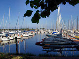 Ferienwohnung in Großenbrode - Meerblick 12 - Großenbrode - Bild 16