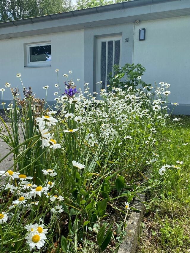 Ferienhaus in Koselau - Gut Koselau Landhaus IV - Bild 7