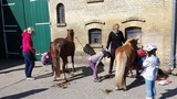Ferienwohnung in Fehmarn OT Staberdorf - Landhaus 2, inkl. 1 Parkplatz - Bild 13