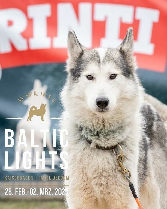 Ferienhaus in Lütow - Ferienhaus Köhler Am Achterwasser , Urlaub mit Hund - Bild 24 Ferienhaus in Lütow - Ferienhaus Köhler Am Achterwasser , Urlaub mit Hund - Bild 24