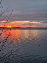 Ferienhaus in L&uuml;tow - Ferienhaus K&ouml;hler Am Achterwasser , Urlaub mit Hund - Bild 19