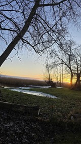Ferienhaus in L&uuml;tow - Ferienhaus K&ouml;hler Am Achterwasser , Urlaub mit Hund - Bild 22
