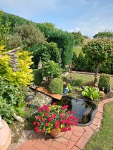 Bungalow in Hohenkirchen - direkt am Wasser ""Küstenperle"mit Meerblick und Sauna - Bild 10 Bungalow in Hohenkirchen - direkt am Wasser ""Küstenperle"mit Meerblick und Sauna - Bild 10