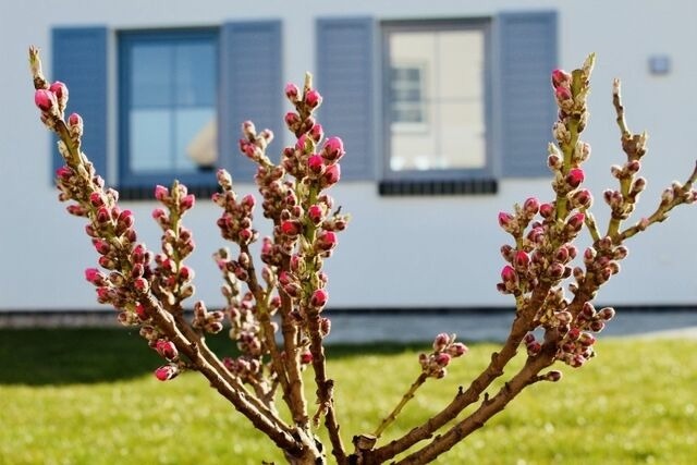 Ferienwohnung in Dranske - Ferienhaus Rügenzauber - Bild 15