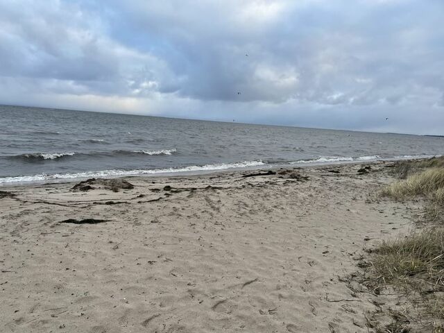 Ferienwohnung in Gahlkow - Strandperle 1 - Bild 24