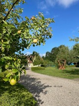 Ferienwohnung in Fehmarn OT Wulfen - Jutta vom Kutter - Bild 22
