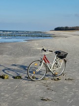 Ferienwohnung in Zingst - Achtern Diek 15a Whg. 1 - Bild 23