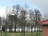 Ferienhaus in Klausdorf - Das Weiße Haus mit Boddenblick - Bild 8