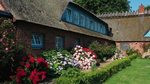 Ferienwohnung in Nieby - Strandhaus Falsh&ouml;ft 1 - Bild 6
