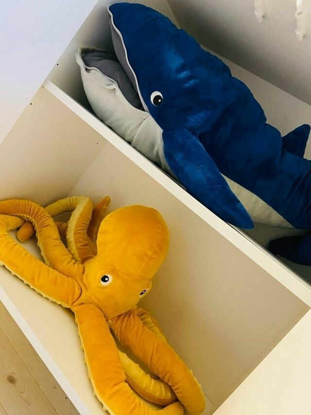 Ferienwohnung in Blekendorf - AHOI MARIE - Bild 21