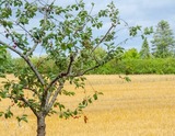 Ferienwohnung in Blekendorf - AHOI MARIE - Bild 23