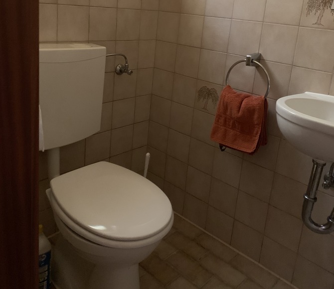 Ferienwohnung in Ahrensbök - Haus Sunneschy - Toilettenraum