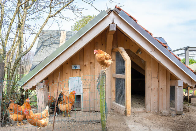 Ferienwohnung in Waabs - Ostseegarten Langholz - Ferienwohnung Schwalbe (bis 2 Pers) - Bild 20