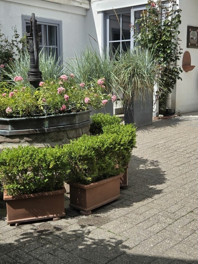 Ferienwohnung in Kappeln - Kappeln 336 - Bild 25