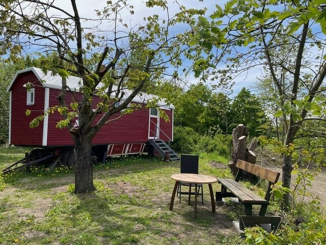 Ferienwohnung in Wagersrott - Zirkuswagen auf dem L&auml;mmerhof - Bild 15
