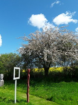 Ferienwohnung in Holzdorf - Ferienwohnung im Skulpturengarten Grünlund - Bild 9