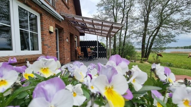 Ferienhaus in Ulsnis - Ferienhaus Schleiwiese - Bild 21