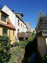 Ferienhaus in Schleswig - Am Mühlenbach - Ferienhaus Diestel - Bild 19 Ferienhaus in Schleswig - Am Mühlenbach - Ferienhaus Diestel - Bild 19