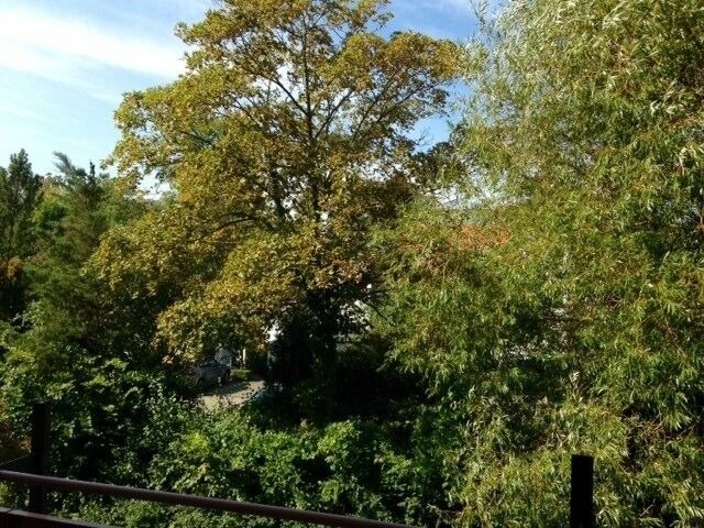 Ferienwohnung in Kühlungsborn - Ostseeblick, Wustrow 28 - Bild 12