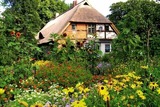 Ferienwohnung in Starkow - Ferienwohnung Apfelgarten am Pfarrgarten Starkow - Bild 10