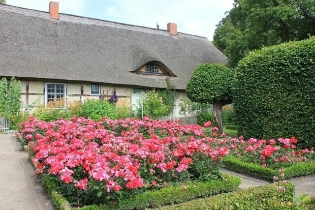 Ferienwohnung in Starkow - Ferienwohnung Irisgarten am Pfarrgarten Starkow - Bild 13