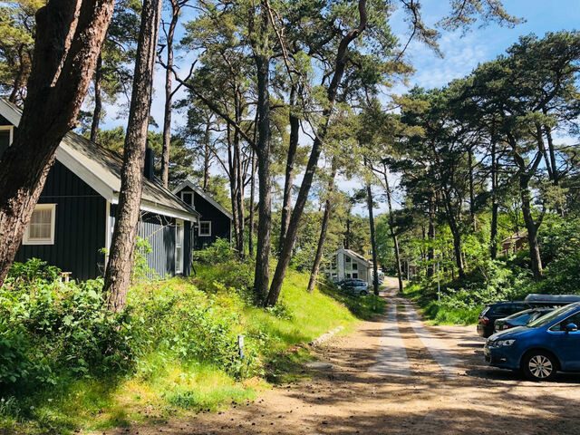 Ferienhaus in Baabe - D&uuml;nenhafer 220 - Bild 17