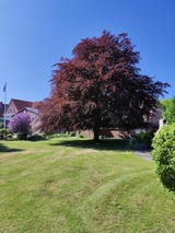 Ferienwohnung in Fehmarn OT Petersdorf - Ferienhof Haltermann Haus 32 a Whg Nr.11 OG - Bild 15