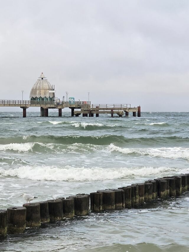 Ferienwohnung in Zingst - Strandvogel - Bild 21