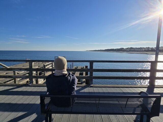 Ferienwohnung in Zingst - Strandvogel - Bild 23