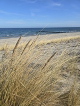 Ferienwohnung in Zingst - Strandvogel - Bild 24
