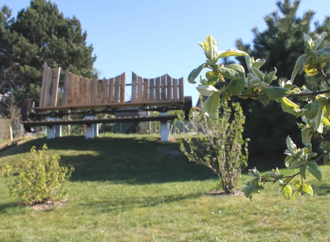 Ferienwohnung in Groß Schwansee - Fewo Seestern - Riesenbank mit Aussicht