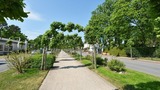 Ferienwohnung in Baabe - Ferienwohnung Rügenzauber - Bild 11